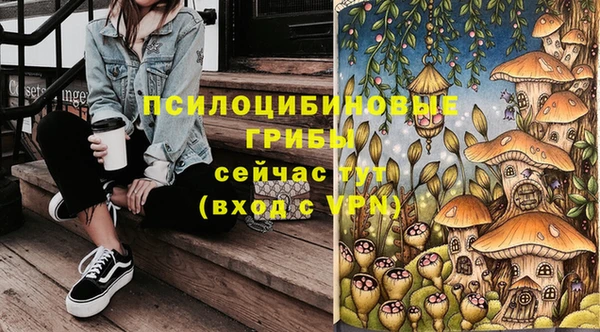прущая мука Новозыбков