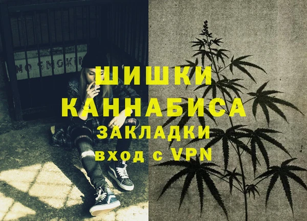 бошки Новодвинск