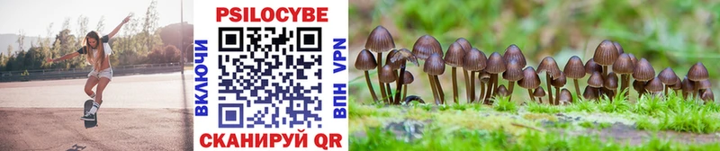Галлюциногенные грибы Psilocybine cubensis Кашира