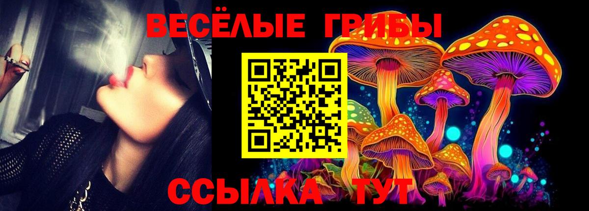 Псилоцибиновые грибы MAGIC MUSHROOMS Кашира