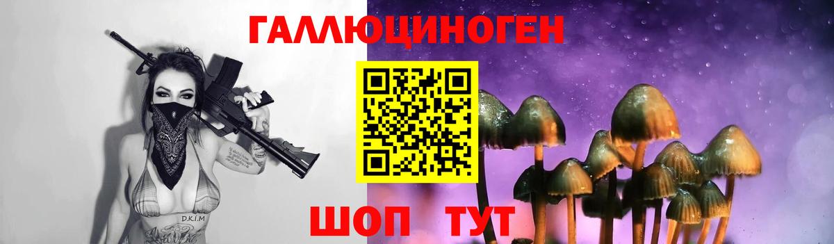 Псилоцибиновые грибы Magic Shrooms  Псилоцибиновые грибы Psilocybine cubensis  Кашира  Вход с VPN 